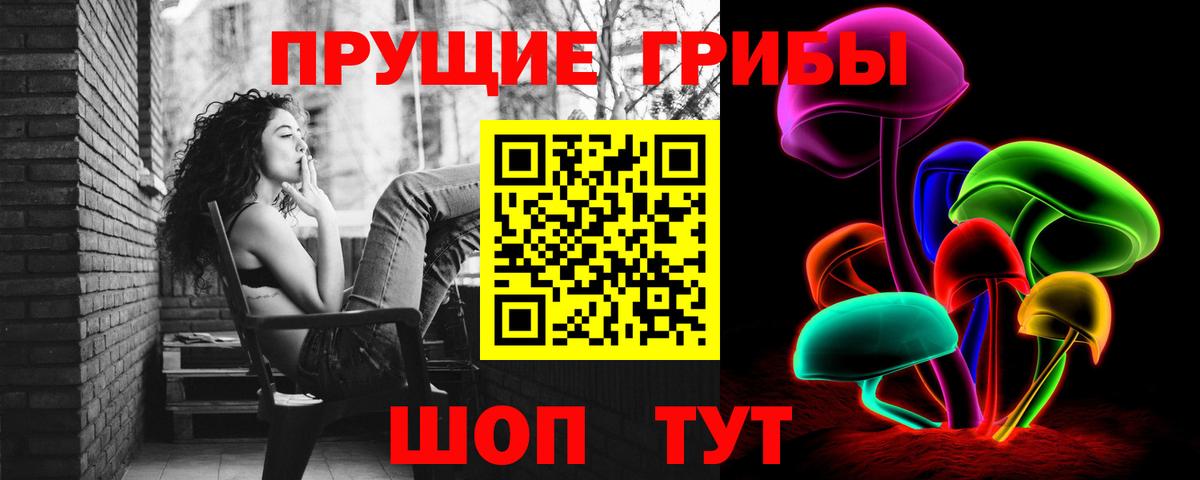 Псков  Галлюциногенные грибы прущие грибы  Вход с VPN 